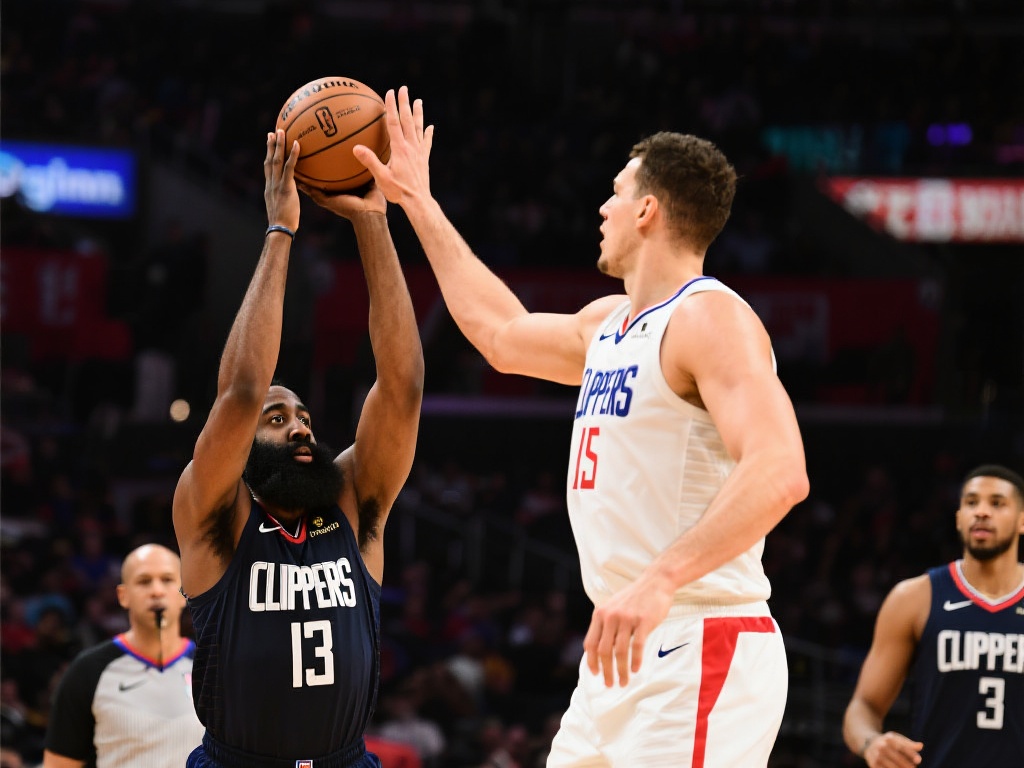 在活动安排 在活动安排